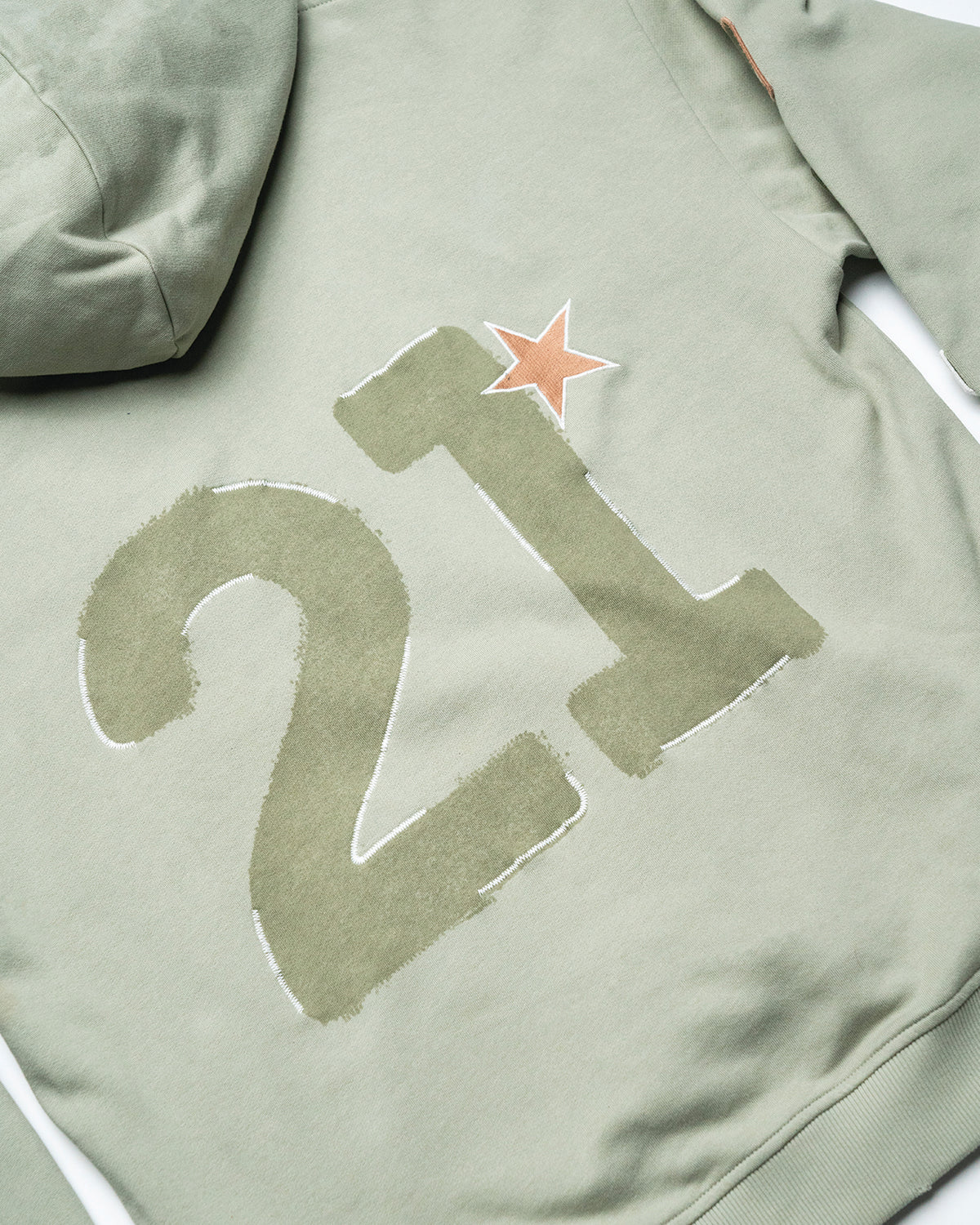 Sage Patch Pullover Hoodie